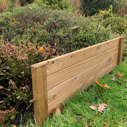 Garden lawn border - lawn,